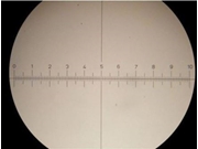 Calibração de Microscópio em Campo Largo