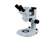 Calibração em RBC Microscópio em Lagarto